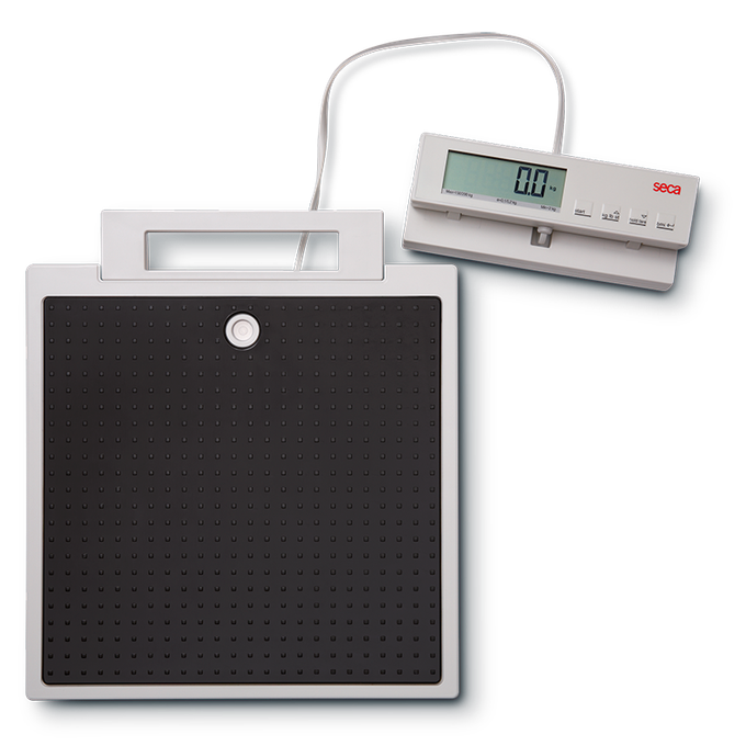 seca 869 - Flat scale with cable remote display · seca